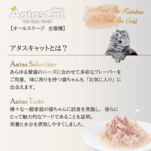 倍々+5倍!最大ポイント26倍!本日限定!アタ...の詳細画像2