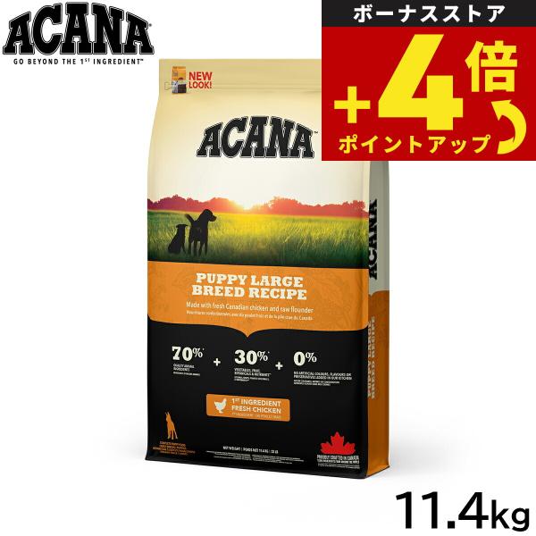 アカナ ACANA ドッグフード パピーラージブリードレシピ 大型犬 子犬用 穀物不使用 11.4k...