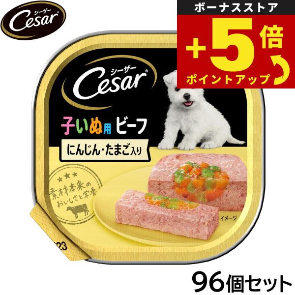 倍々+5倍！最大ポイント26倍！本日限定！シーザー ドッグフード トレイ 2ヶ月からの子犬用 ビーフ...