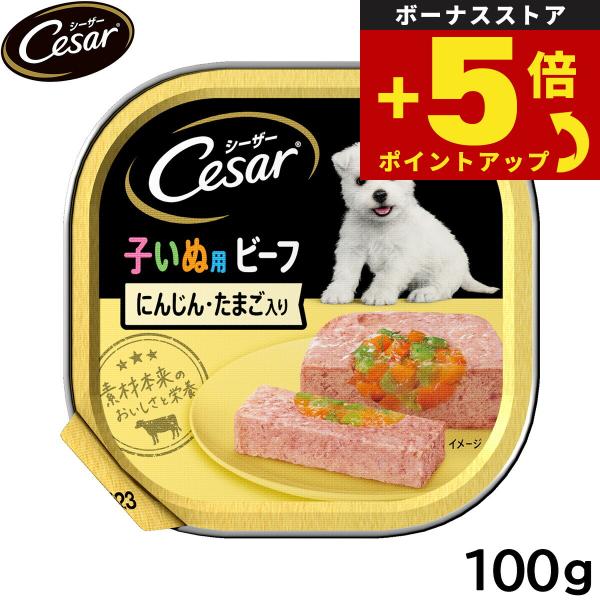 倍々+5倍！最大ポイント26倍！本日限定！シーザー ドッグフード トレイ 2ヶ月からの子犬用 ビーフ...