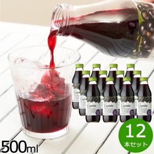 順造選 カシス ジュース20 500ml×12本セットの商品画像