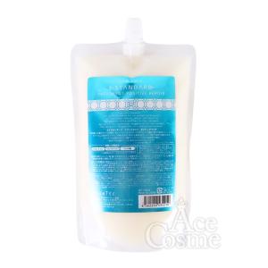 E STANDARD（イイスタンダード） スカルプ シャンプー 500ml レフィル
