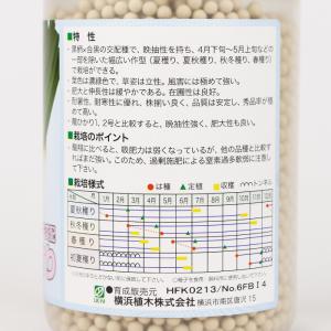 龍まさり コート6000粒 横浜植木 ネギ種 ...の詳細画像2