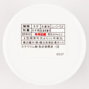 龍まさり コート6000粒 横浜植木 ネギ種 ...の詳細画像3