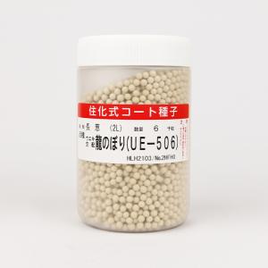 龍のぼり(UE-506) コート6000粒 横浜植木 ネギ種 メーカー直送