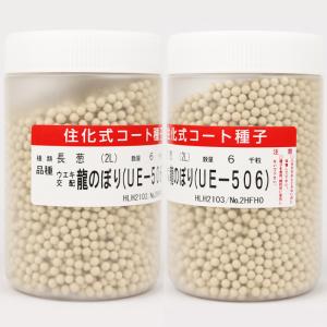 龍のぼり(UE-506) コート6000粒 横...の詳細画像2