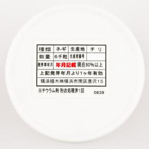 龍のぼり(UE-506) コート6000粒 横...の詳細画像3