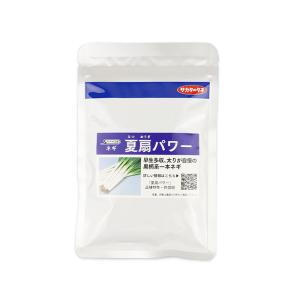 冬扇シオン コート6000粒 サカタのタネ ネギ種 メーカー直送 : ネギ