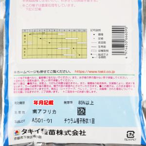 ホワイトスター コート5000粒 タキイ種苗 ...の詳細画像4