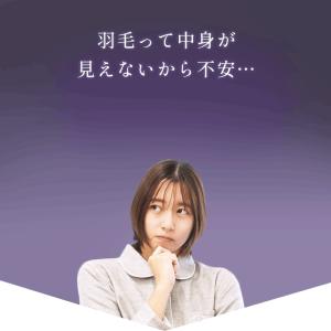 羽毛布団 シングル プレミアムゴールドラベル ...の詳細画像2