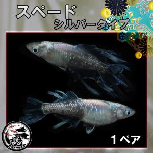 1ペア】マリアージュキッシングワイドフィン エメラルドフィンタイプ