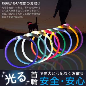 光る首輪 犬用 首輪 犬 おしゃれ 光る 充電...の詳細画像3