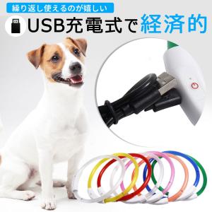 光る首輪 犬用 首輪 犬 おしゃれ 光る 充電...の詳細画像4