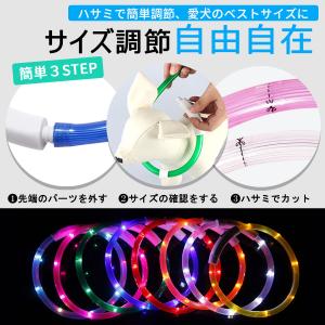 光る首輪 犬用 首輪 犬 おしゃれ 光る 充電...の詳細画像5