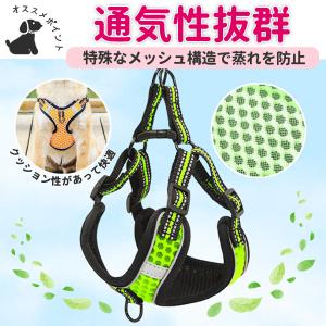 ハーネス リード 犬 胴輪 おしゃれ 脱げない...の詳細画像3