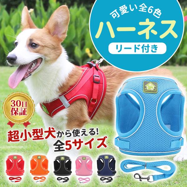ハーネス 犬 おしゃれ 胴輪 小型犬 中型犬 超小型犬 脱げない 首輪 リード リード付き 光る