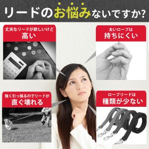 犬 リード おしゃれ 丈夫 120 小型犬 中...の詳細画像1