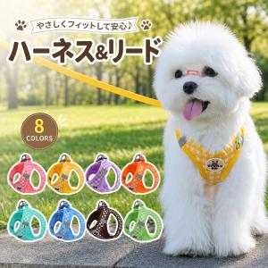 犬 ハーネス ベスト型 脱げない 抜けない リード付き 小型犬 中型犬 猫 猫用 メッシュ 胴輪 簡単着脱 おしゃれ