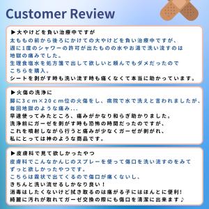 メーカー公式 ウンドウォッシュ ミストタイプ ...の詳細画像2