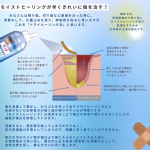 メーカー公式 ウンドウォッシュ ミストタイプ ...の詳細画像4