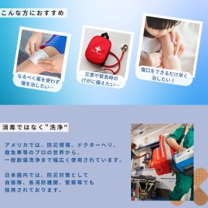 メーカー公式 ウンドウォッシュ ミストタイプ ...の詳細画像5