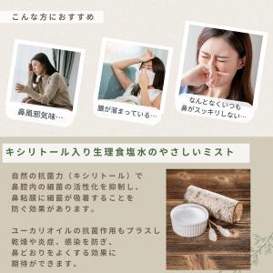 メーカー公式_サイナスミスト キシリトール(1...の詳細画像4