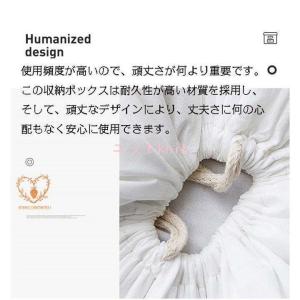 ポイント消化 収納ボックス 衣装ケース 75L...の詳細画像5