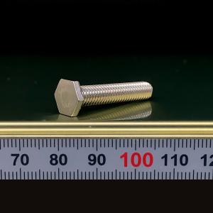 ステンレス 極低頭 六角ボルト M8 ピッチ1.25 並目 (長さ50mm 2本入