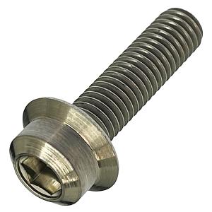 ステンレス 六角穴付 トラスキャップ ボルト M5 x 長さ12mm 2本入