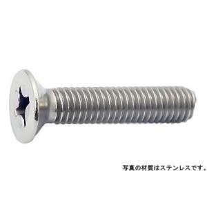 （＋）皿小ねじ（全ねじ 鉄 ニッケル  2 X 5 【パック商品　250個】｜nejikuru