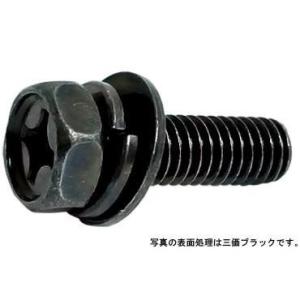 （＋）アプセットＰ＝３　 8 X 16　鉄　三価ブラック　