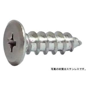 （＋）超極低頭ＴＰ（１種Ａ形 4 X 12 鉄 ニッケル