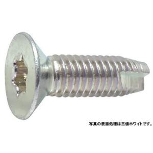 QCアンカー（エヌパット製） SQC-40 ステンレス 生地 【25本