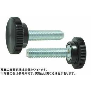 サムスクリュー（丸（黒　 4 X 50　D=13  鉄　三価ホワイト　【200本】