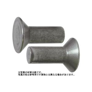 皿リベット 6 X 13 アルミ 生地