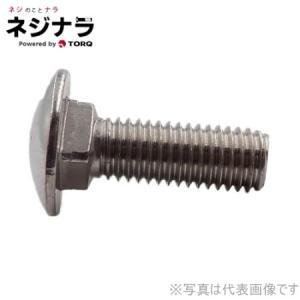 ネジナラ 六角穴付皿ボルト ステンレス M10×60 お徳用パック(100個入