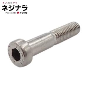 ネジナラ 皿ビス(+) ステンレス M4×120 (100個入) : ネジナラ - 通販