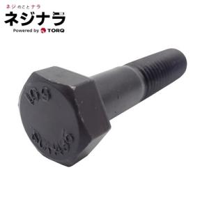 ネジナラ 10.9六角ボルト M16×170 (1個)の商品画像