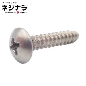 ネジナラ B0型+トラスタッピング ステンレス M6×12 (10個入)