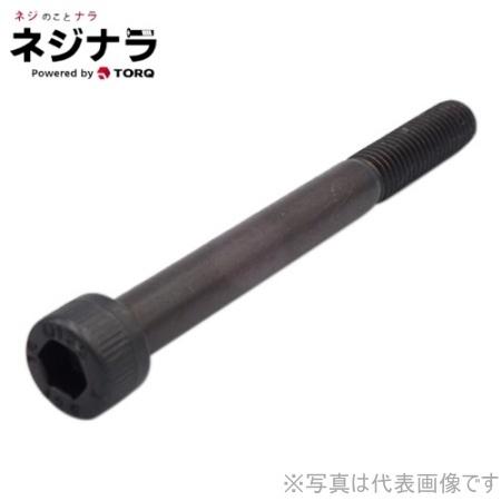 ネジナラ アンブラコ六角穴付ボルト M10×120 (1個)