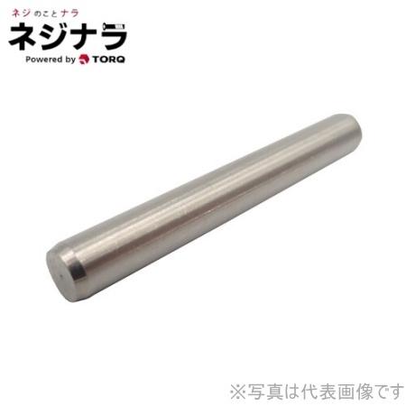 ネジナラ 平行ピンh7(B種) S45C(R) M4×22 (10個入)