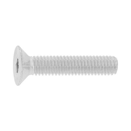 皿ＣＡＰ（東工舎【600個】サラCAP(TKS  4 X 50 標準(または鉄)/三価ホワイト