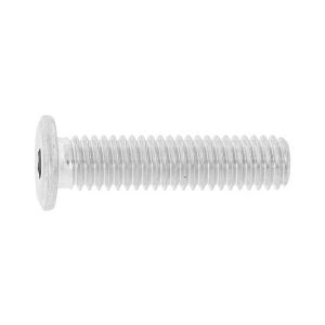 極薄ローヘッド【80個】SUSゴクウスNSローヘッド 12 X 30 ステンレス(303、304、XM7等)/生地(または標準)