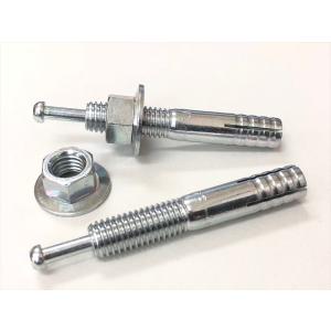 オールアンカー M16 長さ 120mm C-1612 鉄 メッキ品 ( 1本単位