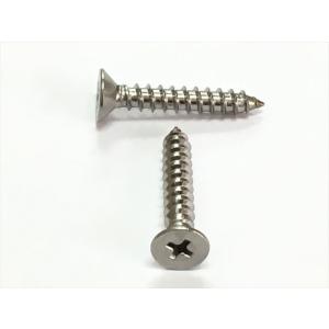 ステンレス 皿 タッピングビス M5x55mm （10本単位 バラ売り）