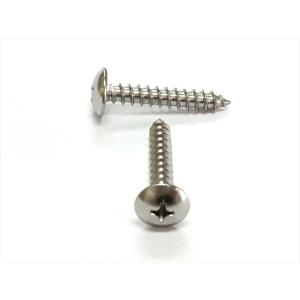 ドリルビス ステンレス ナベ ピアスビス M5x16mm 小箱 (600本