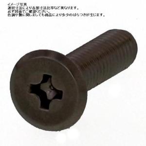 M2.6 X 4L ブラックステン(+)スリムヘッド小ネジ (頭 径5-厚み0.6)｜nejiya-jp