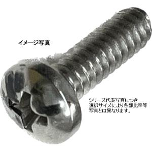 UNC #2-56X1/8(首下約3.2mm)　(+)ステンナベ小ネジ(PanHeadScrew)｜nejiya-jp