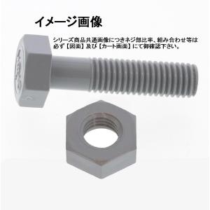 M10X65L PVC（塩ビ）六角ボルト＋ナット(旭)｜nejiya-jp