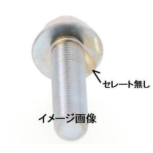 M12(P=1.25) X 35L フランジボ...の詳細画像2